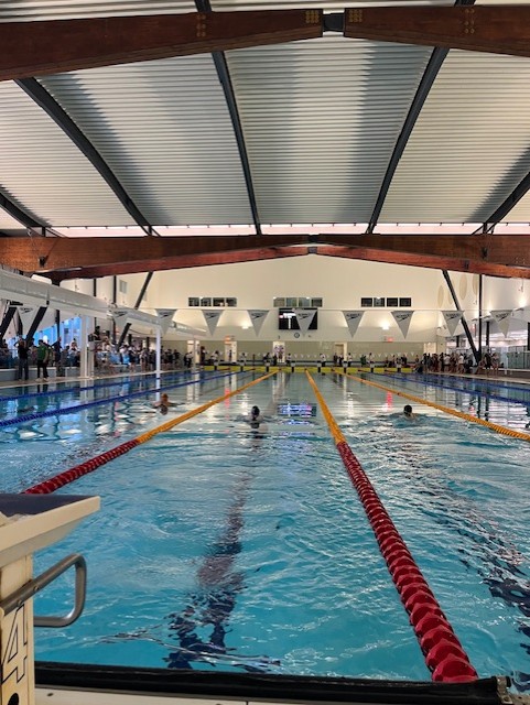 ISA swimming gala