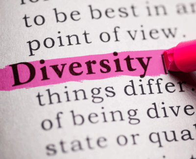 The word Diversity in text